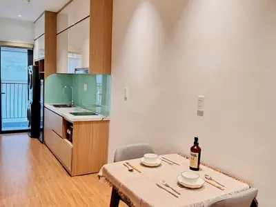 1 bedroom · apartments · Da Nang, Hai Chau / City Center