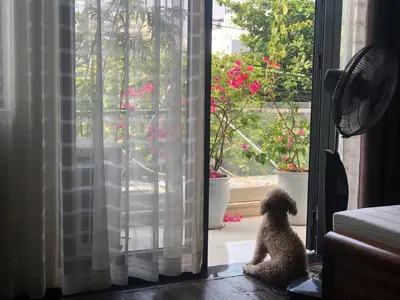 5 bedrooms  · house · Da Nang, My An / Beach District