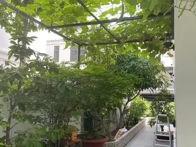 1 bedroom · house · Vung Tau