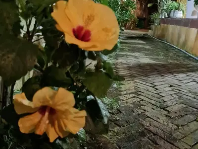 1 phòng ngủ · căn hộ · Hội An