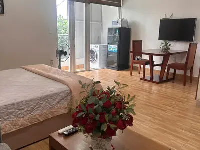1 bedroom · apartments · Hai Phong