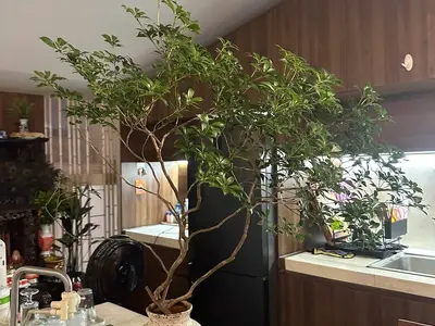1 bedroom · apartments · Ho Chi Minh City