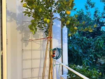 1 bedroom · apartments · Ho Chi Minh City