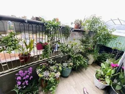 2 bedrooms · apartments · Dalat