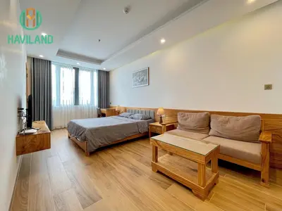 1 bedroom · apartments · Da Nang