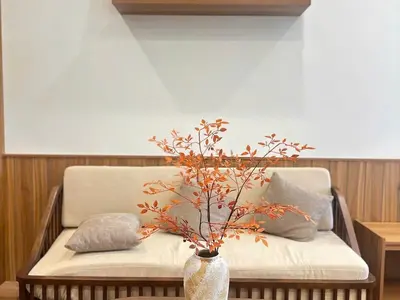 1 bedroom · apartments · Da Nang