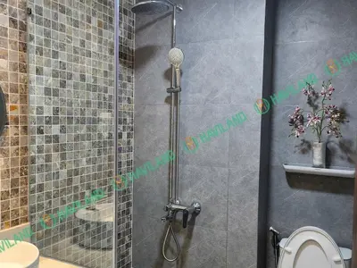 2 bedrooms · apartments · Da Nang