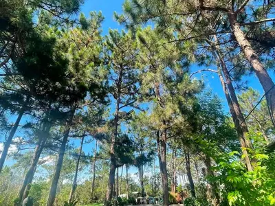 2 bedrooms · house · Dalat