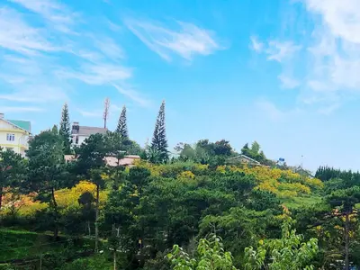2 bedrooms · apartments · Dalat