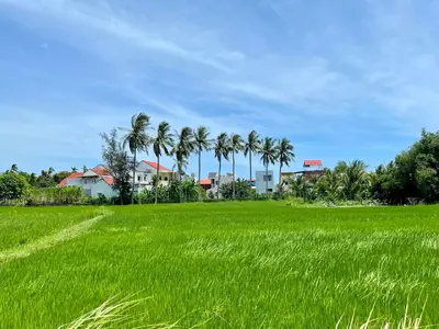 2 bedrooms · apartments · Hoi An