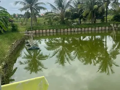 1 bedroom · house · Hoi An
