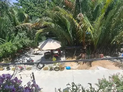 2 bedrooms · house · Hoi An