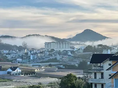 1 bedroom · business · Nha Trang