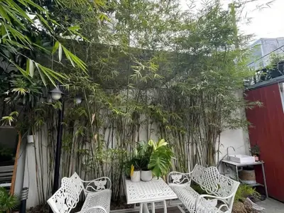 1 寝室 · 一戸建て · ダナン (Da Nang), Son Tra