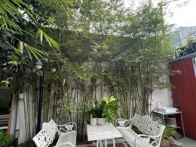 1 bedroom · business · Da Nang