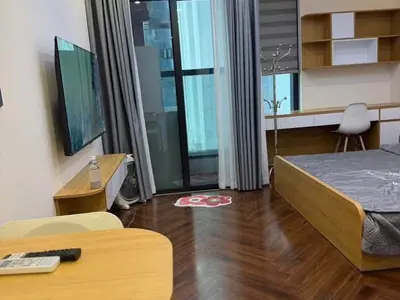 1 bedroom · apartments · Hai Phong