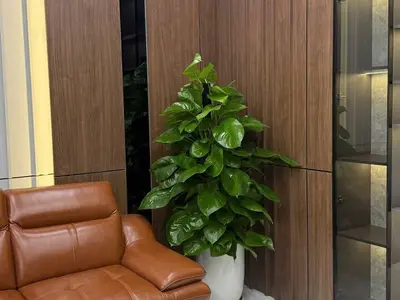 4 phòng ngủ · nhà · Nha Trang