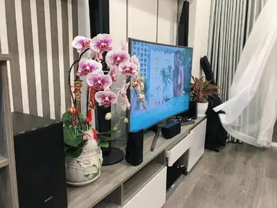 2 bedrooms · apartments · Vung Tau