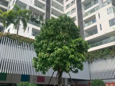 3 phòng ngủ · căn hộ · TP. Hồ Chí Minh, District 2