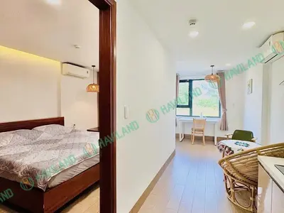 1 bedroom · apartments · Da Nang