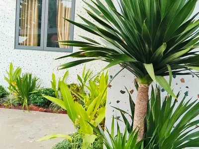2 bedrooms · villa · Hoi An