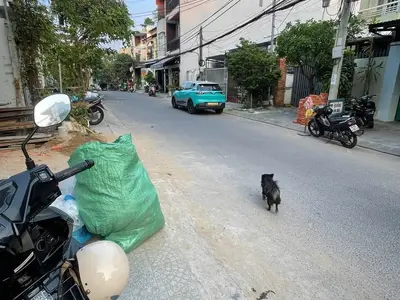 1 bedroom · business · Da Nang, Son Tra