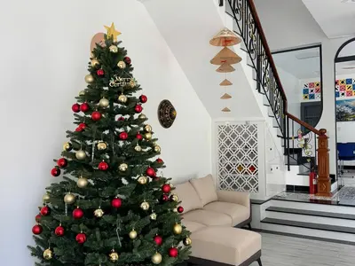 1 bedroom · apartments · Vung Tau